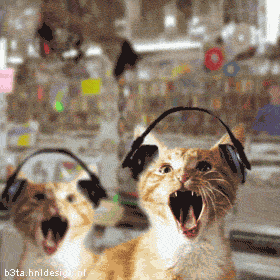 Funny fotos...-metal.gif