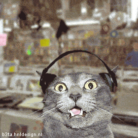 Funny fotos...-techno.gif