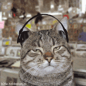 Funny fotos...-stonerrock.gif