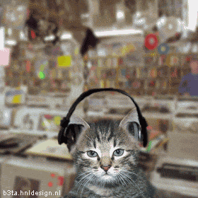 Funny fotos...-swonder.gif