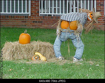 Funny fotos...-00005350.jpg