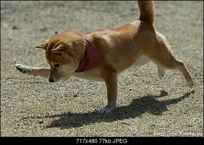 Funny fotos...-00020974.jpg