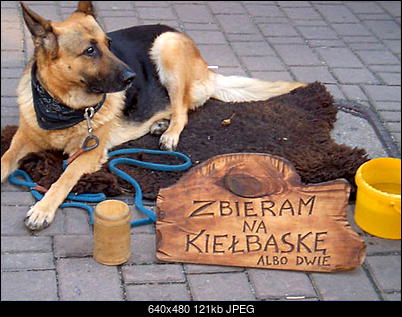 Funny fotos...-cam_1559.jpg