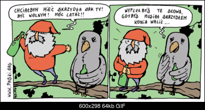 Funny fotos...-miec-skrzydla.gif