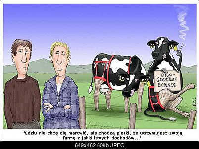 Funny fotos...-nz3420dq.jpg