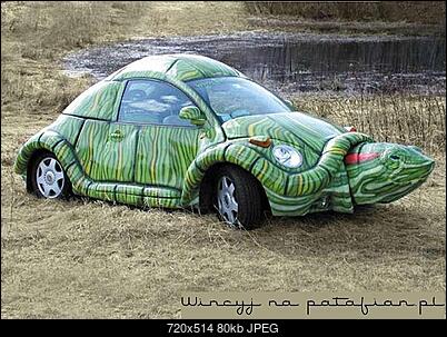Funny fotos...-zolw.jpe
