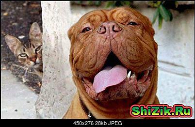 Funny fotos...-04_lishnie_v_kadre.jpg