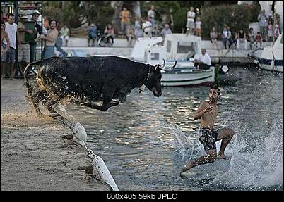 Funny fotos...-03_hurt.jpg