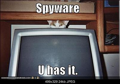 Funny fotos...-spyware-cat-computer-monitor.jpg