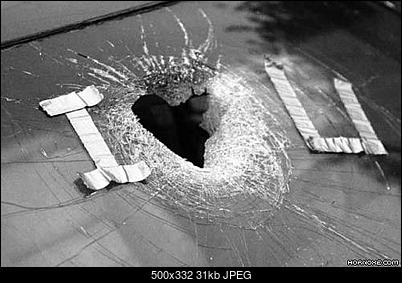 Funny fotos...-love.jpg