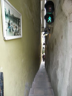 Funny fotos...-7666.jpg