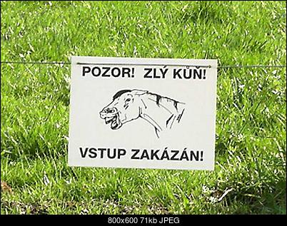 Funny fotos...-c4a8acfd2f33c01c.jpg