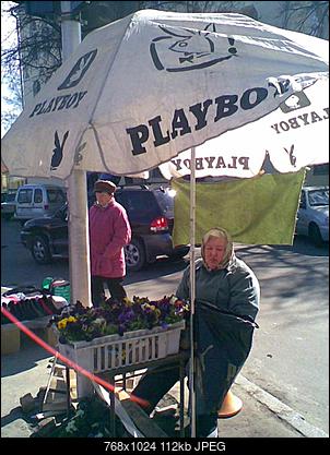 Funny fotos...-013_pics.jpg