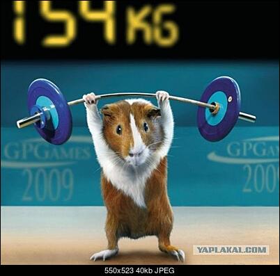 Funny fotos...-post-3-12181757137005.jpg