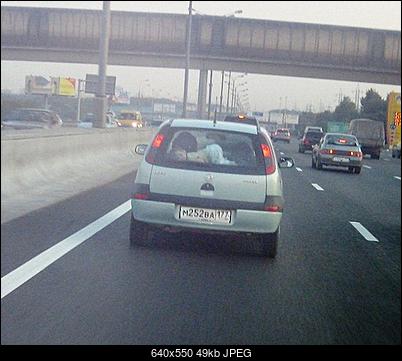 Funny fotos...-1221486744_1221025857_03.jpg