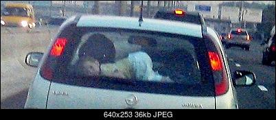 Funny fotos...-1221486744_1221025857_04.jpg
