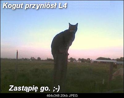 Funny fotos...-schowek02.jpg