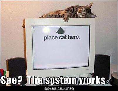 Funny fotos...-schowek03.jpg