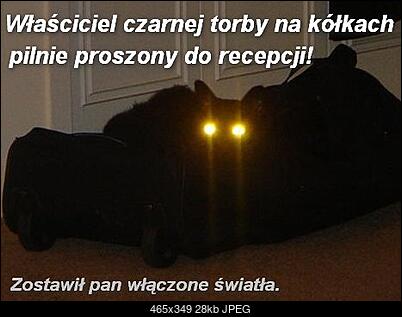 Funny fotos...-schowek05.jpg