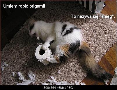 Funny fotos...-schowek06.jpg