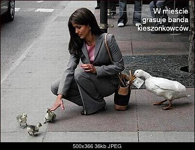 Funny fotos...-schowek07.jpg