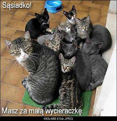 Funny fotos...-schowek11.jpg