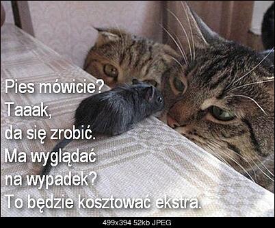 Funny fotos...-schowek12.jpg
