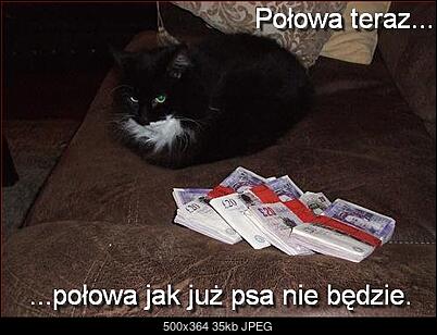Funny fotos...-schowek12n.jpg