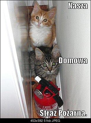 Funny fotos...-schowek15.jpg