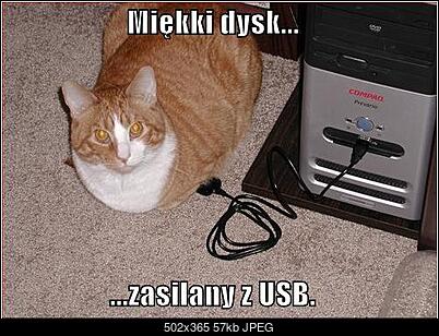 Funny fotos...-schowek17.jpg