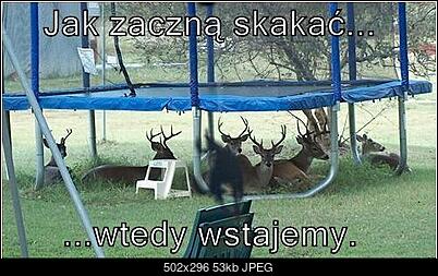 Funny fotos...-schowek18.jpg