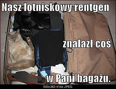 Funny fotos...-schowek20.jpg