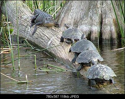 Funny fotos...-073_pics.jpg