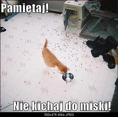 Funny fotos...-schowek00109.jpg