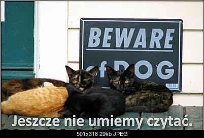 Funny fotos...-schowek00110.jpg