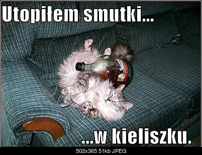 Funny fotos...-schowek00111.jpg