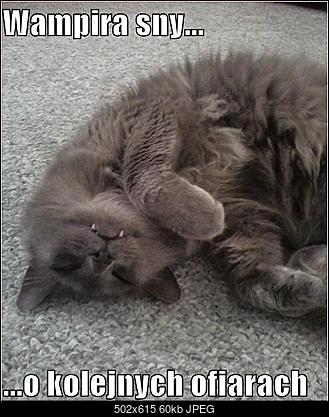 Funny fotos...-schowek00112.jpg