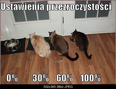 Funny fotos...-schowek00127.jpg