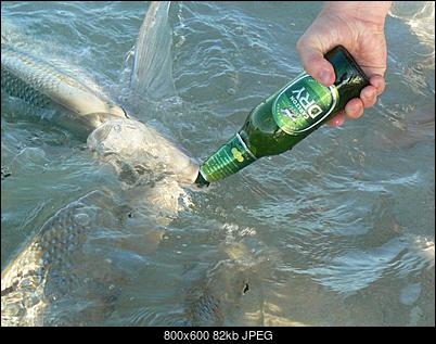 Funny fotos...-046_pics.jpg