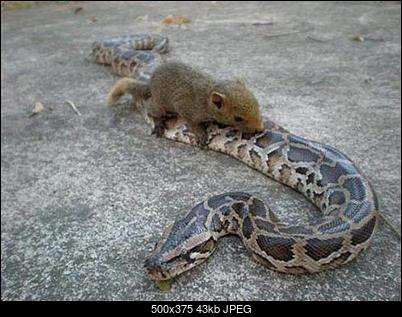 Funny fotos...-033.jpg