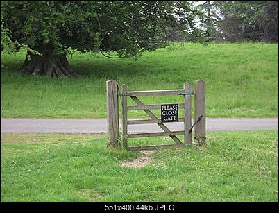 Funny fotos...-signa_1429470i.jpg