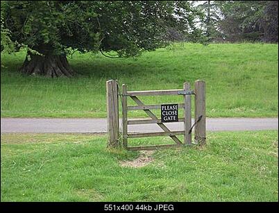 Funny fotos...-signa_1429470i.jpg