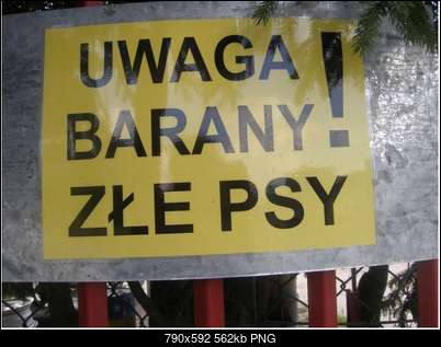 Funny fotos...-2010-07-25-07-54-48.png
