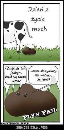 Funny fotos...-4729_dzien-zycia-much.jpg