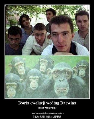 Funny fotos...-teoria-ewolucji-wedlug-darwina.jpeg
