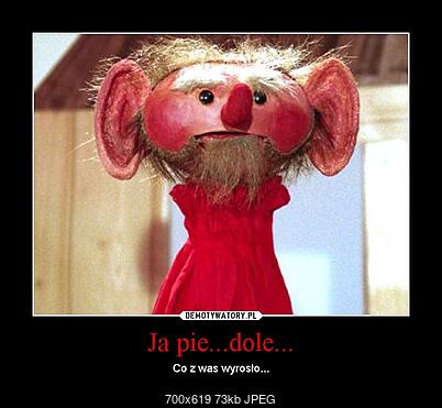 Funny fotos...-1342702541_rzrysh.jpg