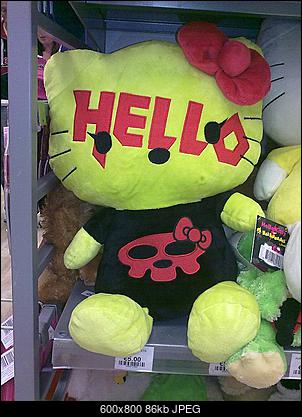 Funny fotos...-hmkitty.jpg