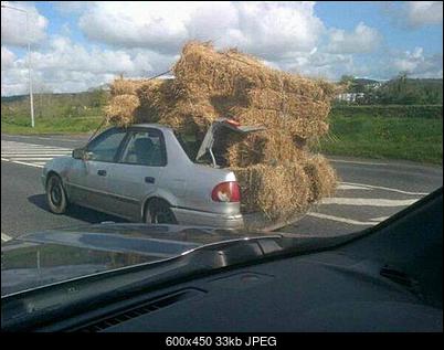 Funny fotos...-ctq1r8h.jpg