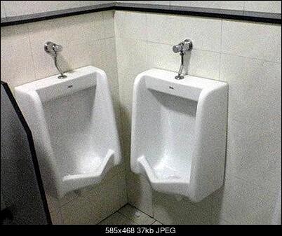 Funny fotos...-gfsr5sv.jpg