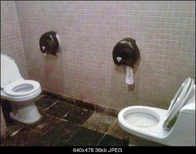 Funny fotos...-n7kuhol.jpg